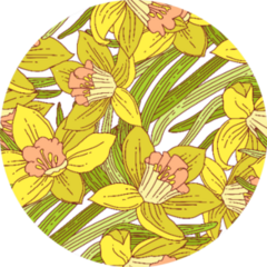 Beautiful Arrangement Of Spring Daffodils Pattern Sticker