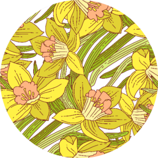 Beautiful Arrangement Of Spring Daffodils Pattern Sticker