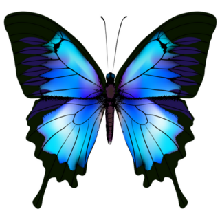 Beautiful Azure Blue Butterfly Sticker