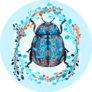 Beautiful Beetle Illustration On Blue Sticker 