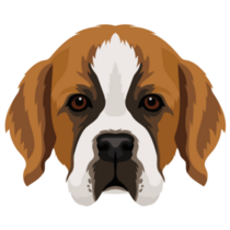 Beautiful Bernard Sticker