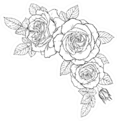Beautiful Black And White Bouquet Rose Sticker