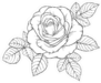 Beautiful Black And White Rose And Leaves Sticker