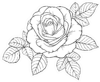Beautiful Black And White Rose And Leaves Sticker