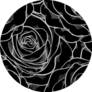 Beautiful Black And White Seamless Pattern In Roses Sticker