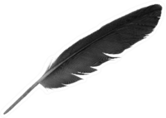 Beautiful Black Crow Feather Isolated On White Sticker