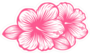 Beautiful Blooming Flower Hibiscus Sticker