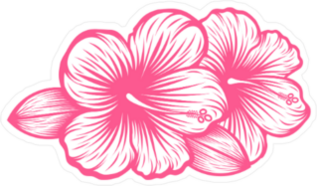 Beautiful Blooming Flower Hibiscus Sticker