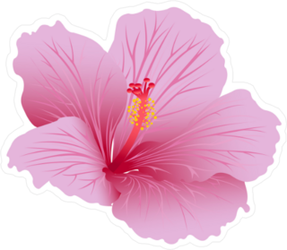 Beautiful Blooming Hibiscus Sticker