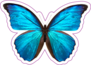 Beautiful Blue And Black Butterfly Sticker