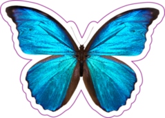 Beautiful Blue And Black Butterfly Sticker