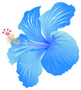 Beautiful Blue Blooming Hibiscus Sticker