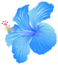 Beautiful Blue Blooming Hibiscus Sticker