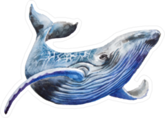 Beautiful Blue Whale Illustration Sticker