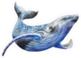 Beautiful Blue Whale Illustration Sticker