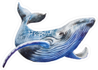 Beautiful Blue Whale Illustration Sticker