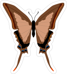 Beautiful Brown Butterfly Sticker