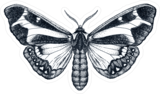 Beautiful Butterfly Ink Sketch Tattoo Sticker