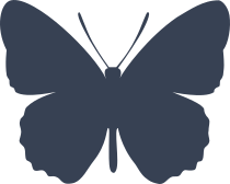 Beautiful Butterfly Sticker