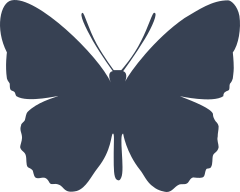 Beautiful Butterfly Sticker
