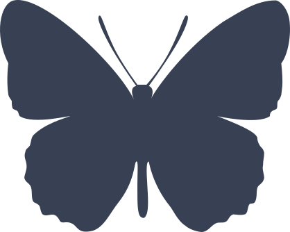 Beautiful Butterfly Sticker