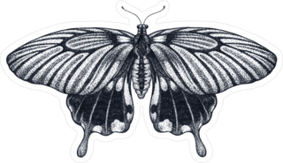Beautiful Butterfly Tattoo Sticker