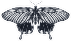 Beautiful Butterfly Tattoo Sticker