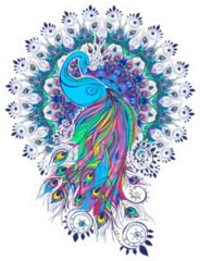 Beautiful Card With Peacock Made In Color Bird Sticker