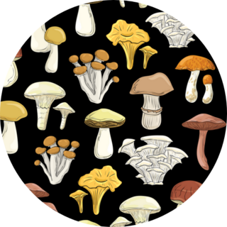 Beautiful Cartoon Mushrooms Sticker