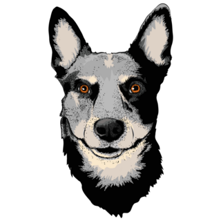 Beautiful Cattle Dog Sticker
