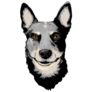 Beautiful Cattle Dog Sticker