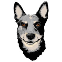 Beautiful Cattle Dog Sticker