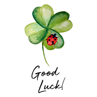 Beautiful Clover Plant With Ladybug Sticker