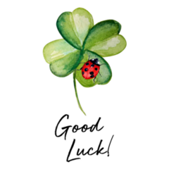 Beautiful Clover Plant With Ladybug Sticker
