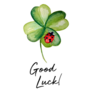 Beautiful Clover Plant With Ladybug Sticker