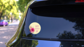 Beautiful Dahlias Happy Grandparents Day Sticker on a Rear Car Window (New) example