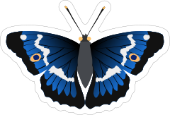 Beautiful Deep Blue Butterfly Sticker