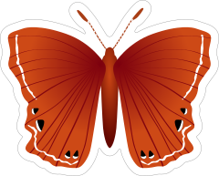 Beautiful Deep Red Butterfly Sticker
