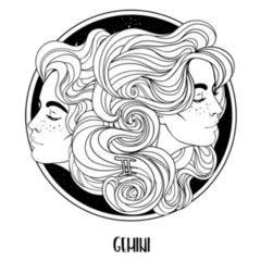 Beautiful Gemini Girl Zodiac Illustration Sticker