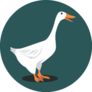 Beautiful Goose On Green Sticker