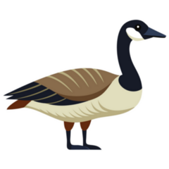  Beautiful Goose Sticker