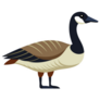  Beautiful Goose Sticker