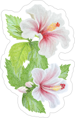 Beautiful Hibiscus Flower Sticker