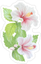 Beautiful Hibiscus Flower Sticker