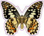 Beautiful Lime Butterfly Sticker