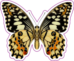 Beautiful Lime Butterfly Sticker