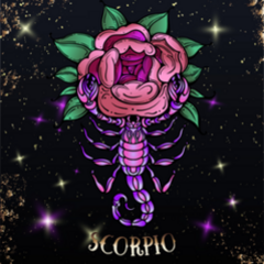 Beautiful Line Art Scorpio Sticker