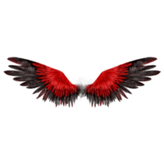 Beautiful Magic Red Black Wings Sticker