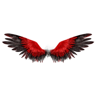 Beautiful Magic Red Black Wings Sticker