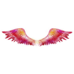 Beautiful Magic Red Pink Watercolor Wings Sticker